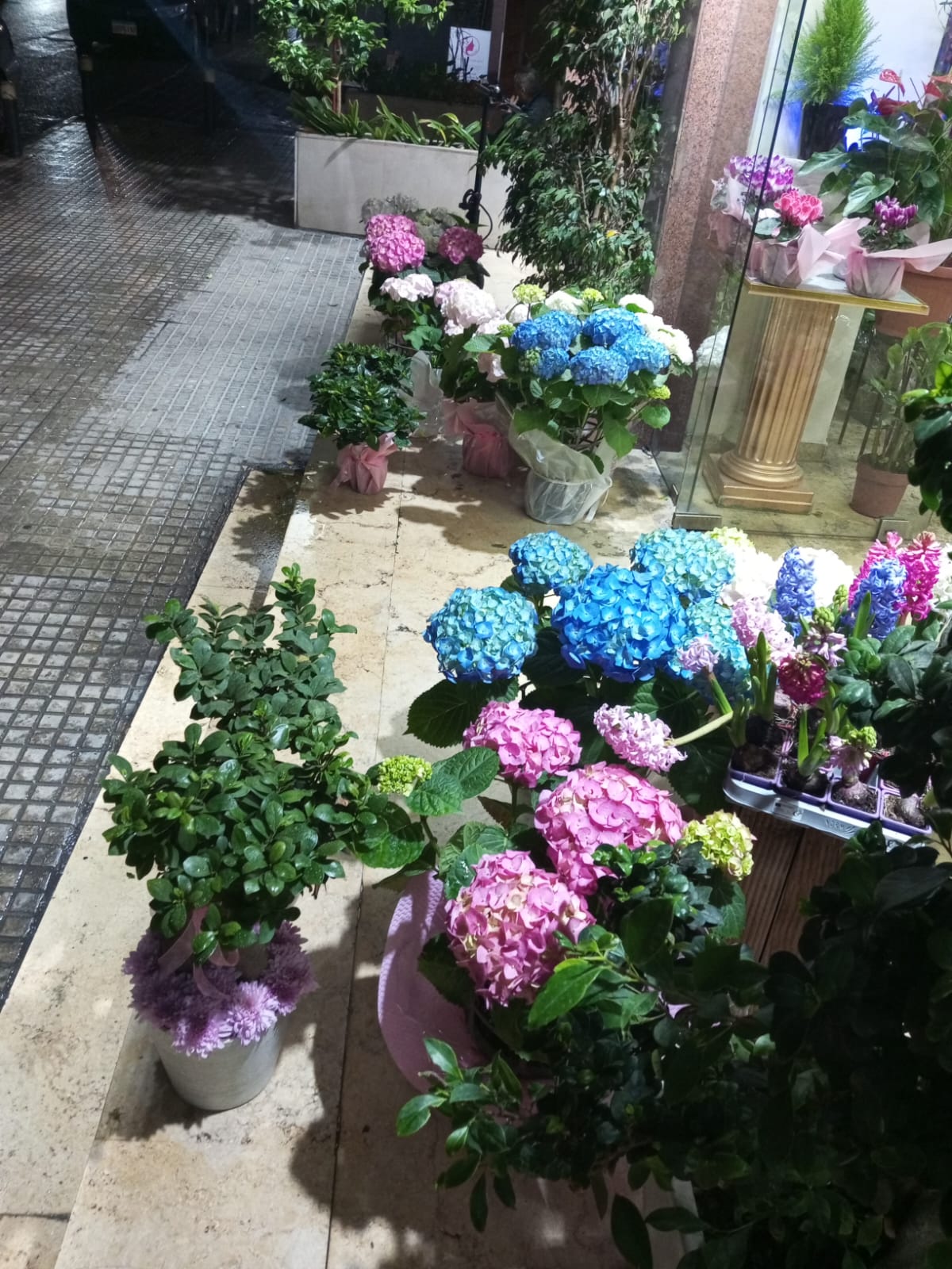 متجر الورود قبل الغارة الإسرائيلية على كوريش المزرعة - بيروت.