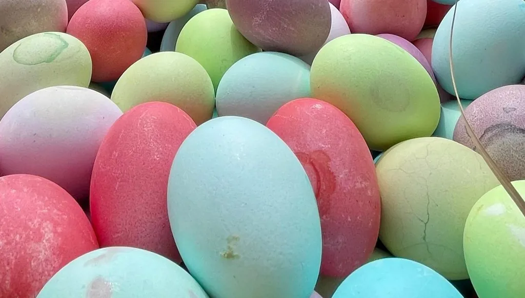 La chasse aux œufs : tradition, gourmandise et mémoire