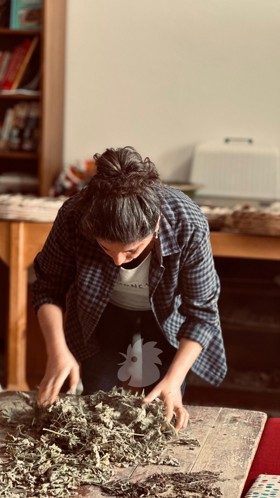 التسليق في لبنان وتأثيره على الصحة النفسية (النهار)