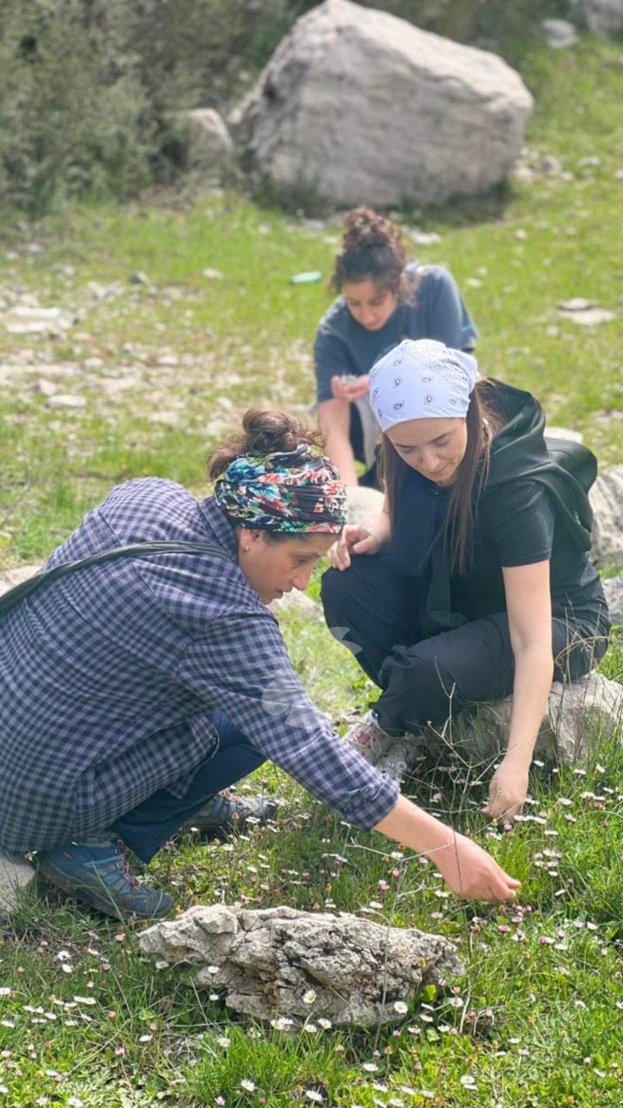 التسليق في لبنان وتأثيره على الصحة النفسية (النهار)