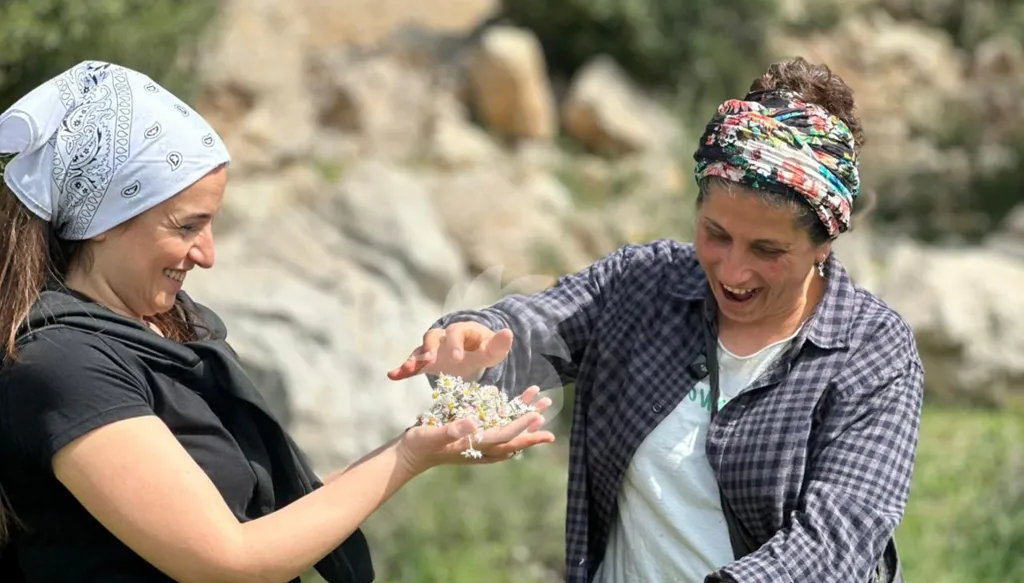 "التسليق"... سرّ راحة البال الذي نسيه اللبنانيون (صور وفيديو)