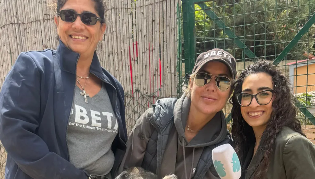 Deux femmes en guerre : sauver les animaux sous les bombes