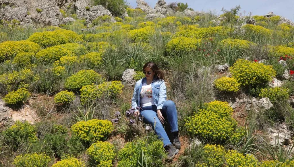 Safeguarding Lebanon’s 2,600 wild flowering plant species for the future