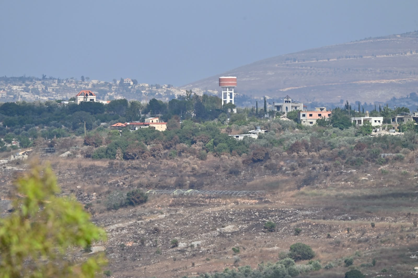 بلدة فرون (حسام شبارو).