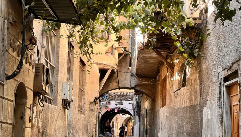 بالفيديو - "زقاق الجن" و"مطرح ما ضيّع القرد ابنه"... أسماء حارات دمشق