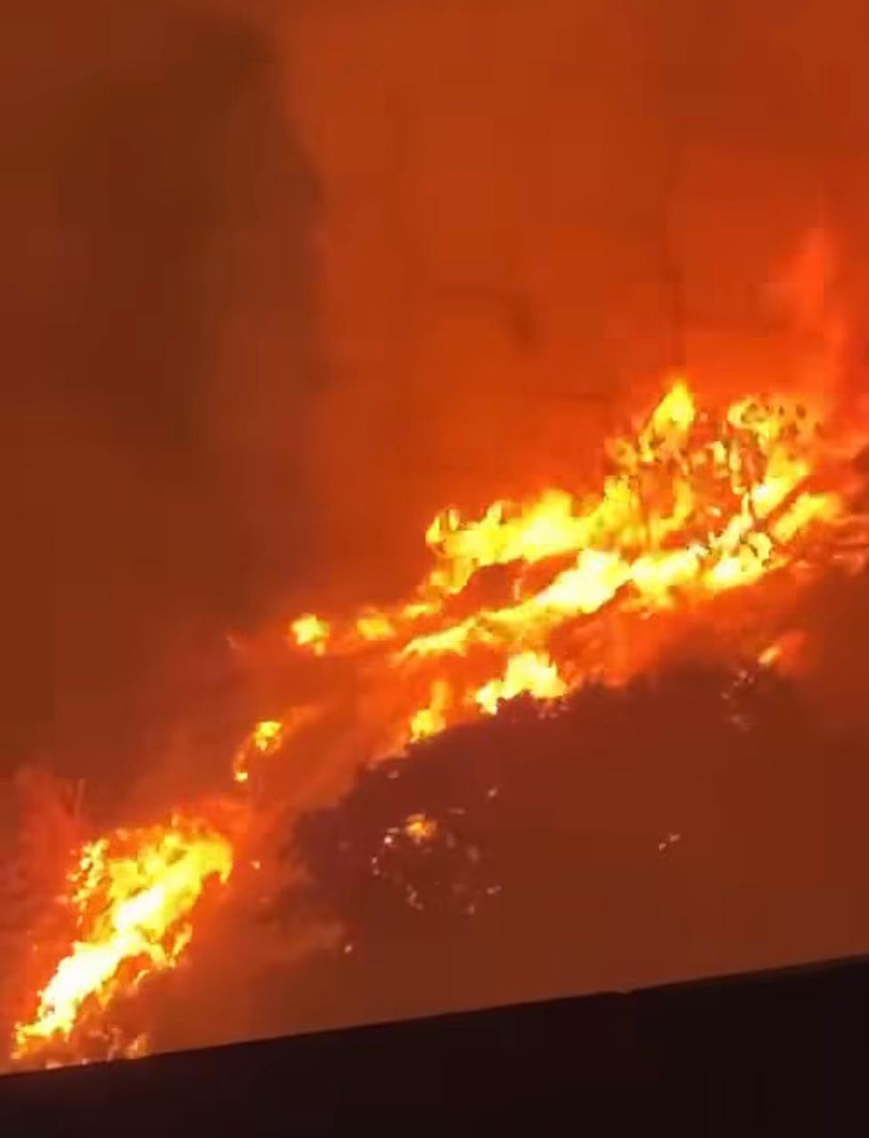 حريق حرجي في رأس مسقا شمال لبنان. 
