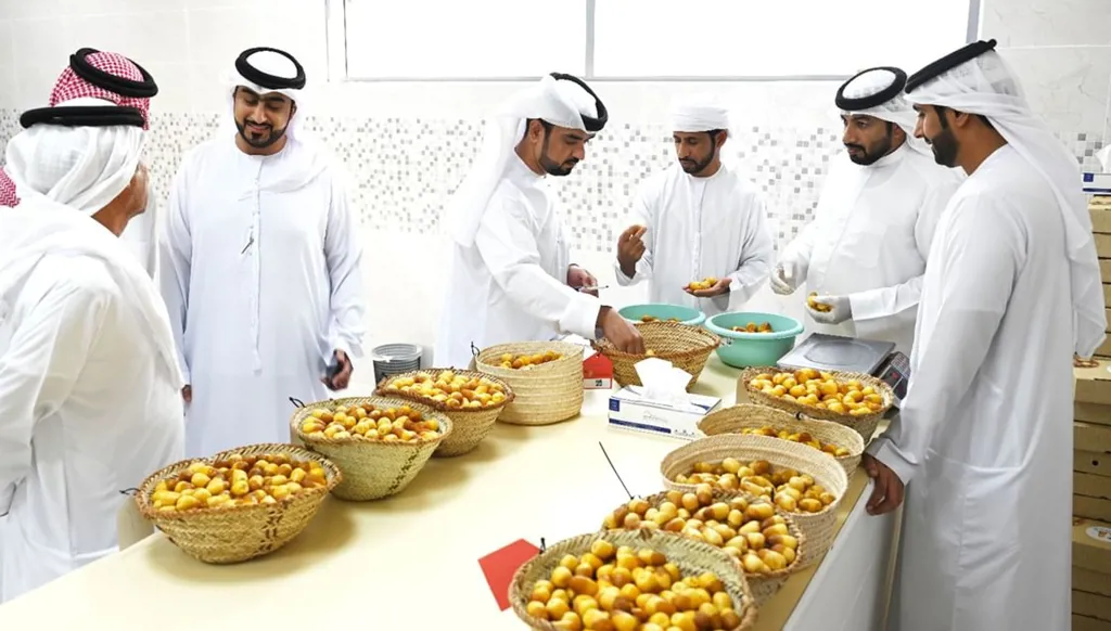 من 7 آلاف زائر إلى 30 ألفاً: مهرجان الذيد رافعة اقتصادية للتمور الإماراتية