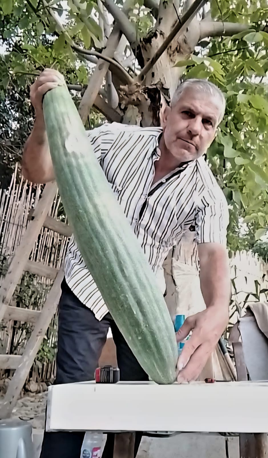 المقتاية. (النهار)