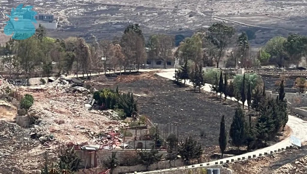 مدخل ميس الجبل من جهة وادي السلوقي (أحمد منتش).
