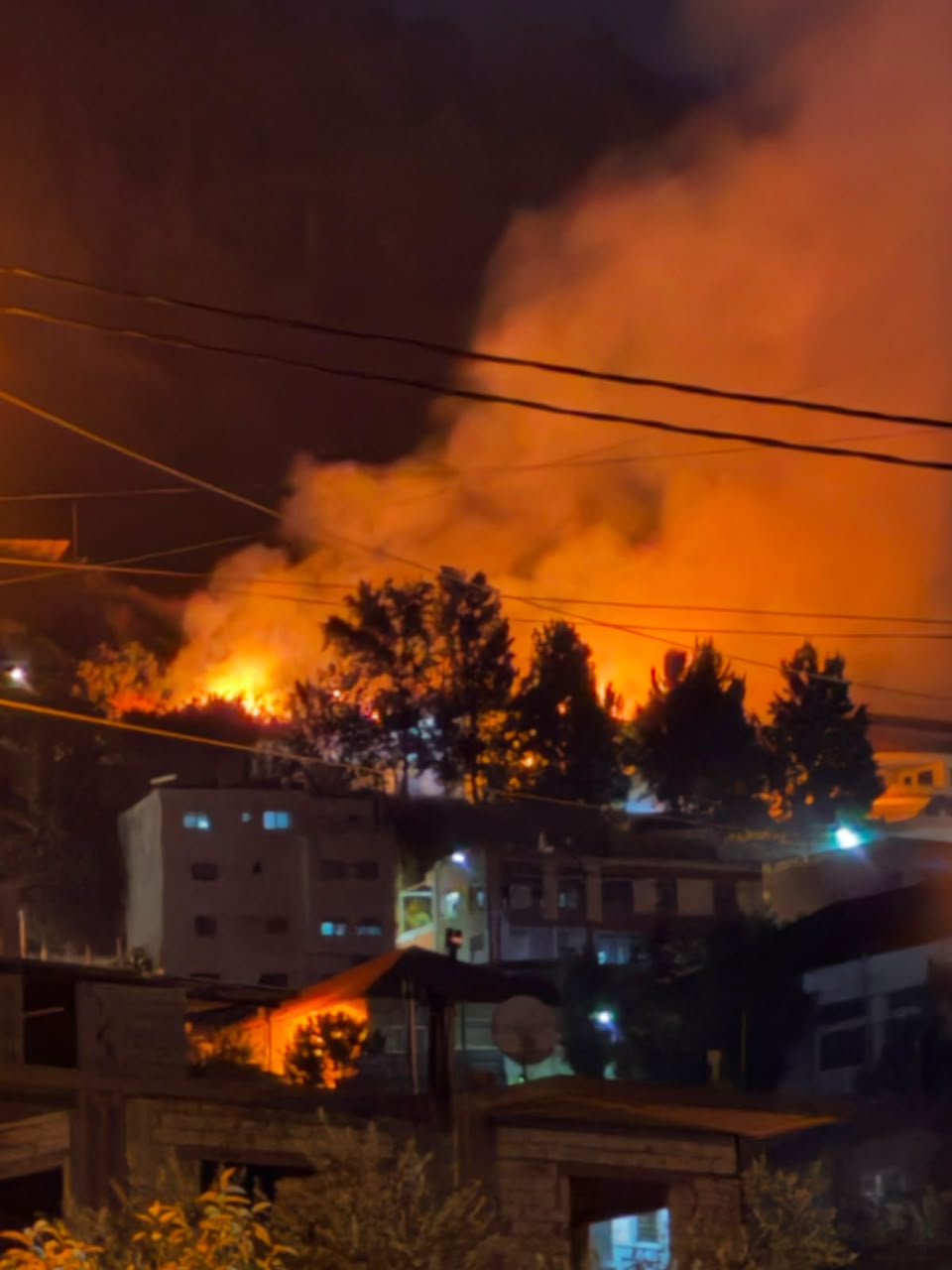 حريق في حرج جبل لالا بالبقاع الغربي. (الدفاع المدني)