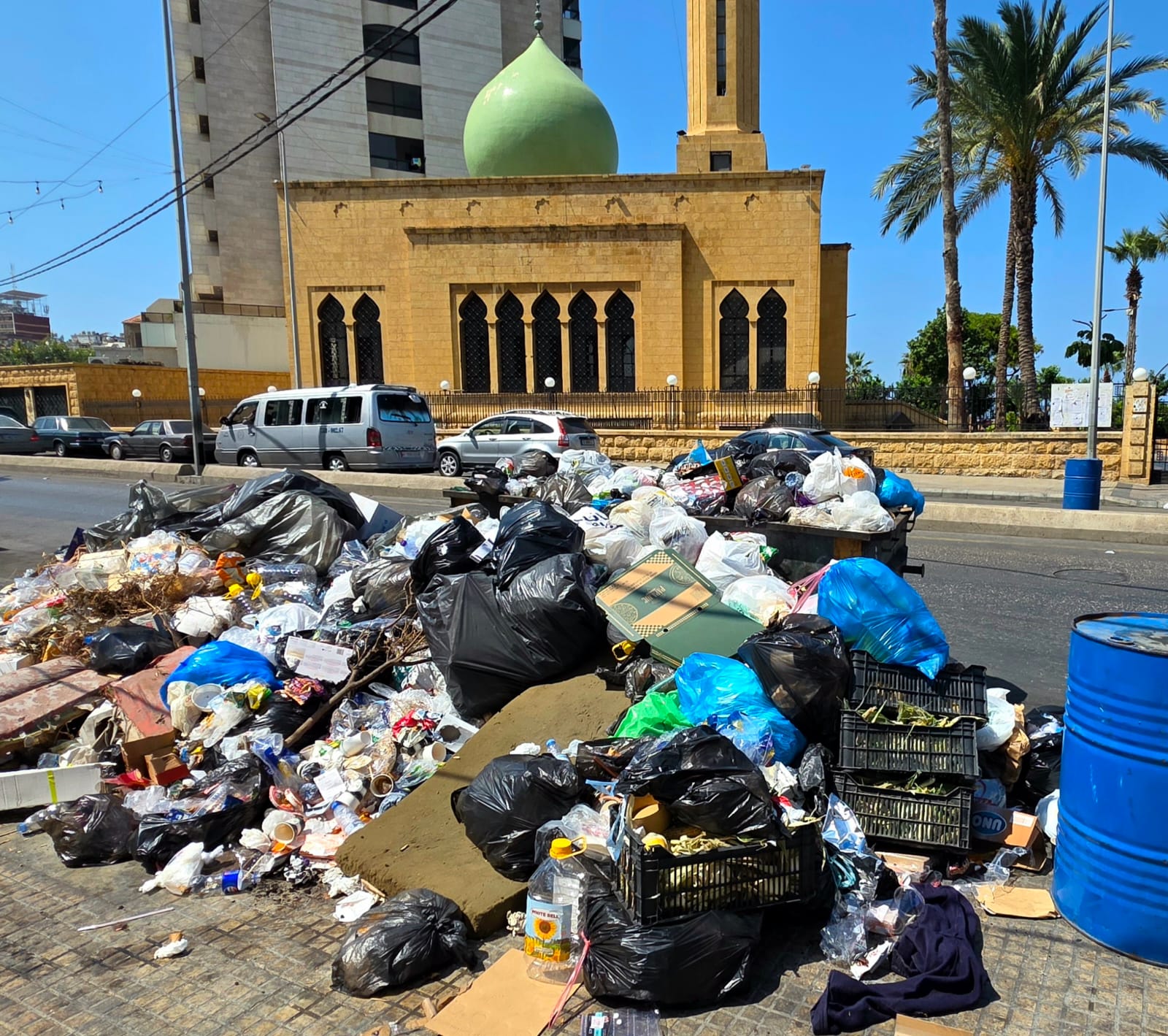 النفايات في صيدا. (تصوير أحمد منتش)