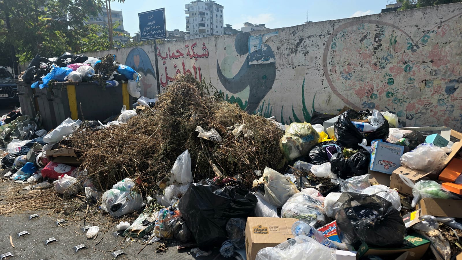النفايات في صيدا. (تصوير أحمد منتش)