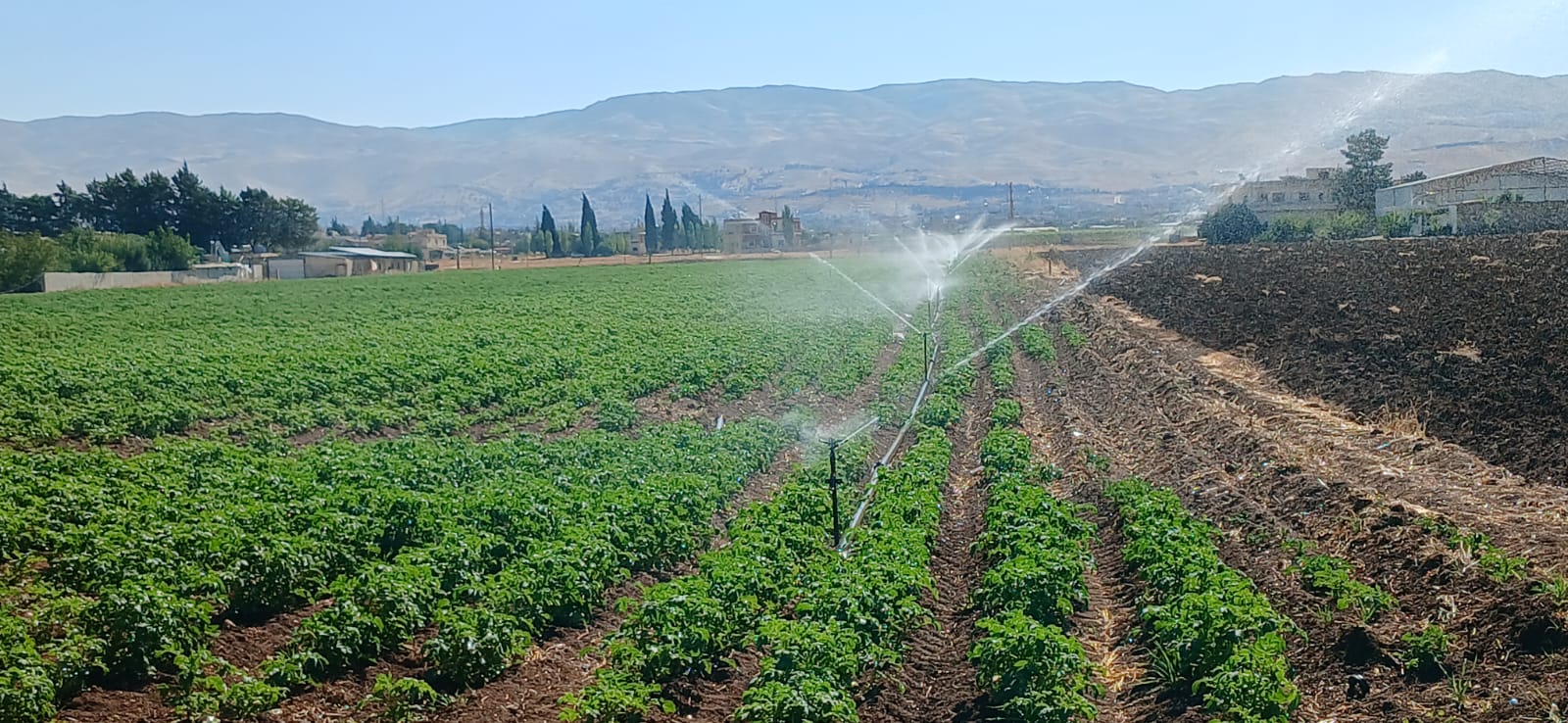 سهل زراعي في بعلبك. (النهار)