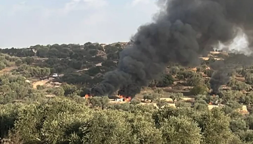 مستوطنون يعتدون على قاطفي الزيتون في الضفة الغربية... إحراق أشجار ومركبات (فيديو)