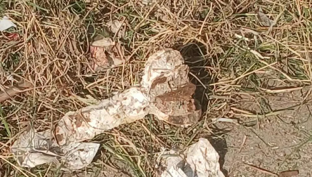 لبنان... العثور على قذيفة "هاون" قديمة داخل حرم سرايا طرابلس (صورة)