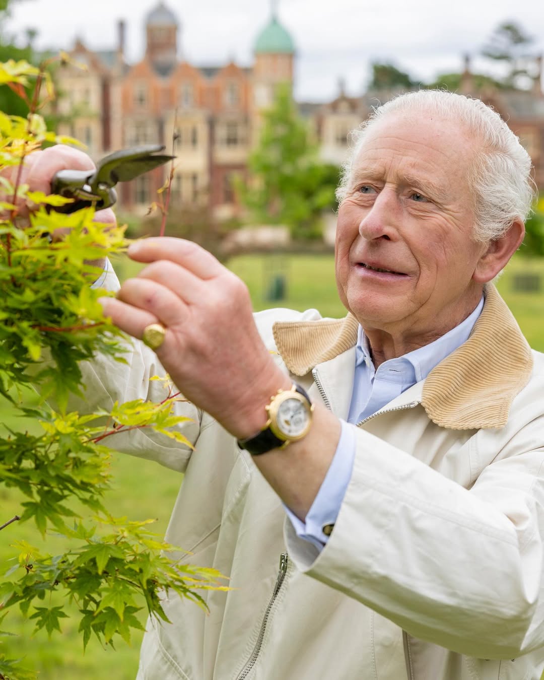 الصور الرسمية لعيد الملك تشارلز الـ 77 (انستغرام)