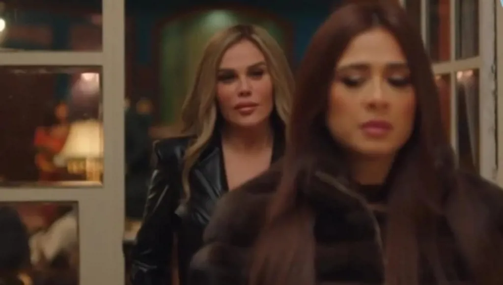 شقيق ياسمين عبد العزيز يطلب إلى نيكول سابا مغادرة مصر