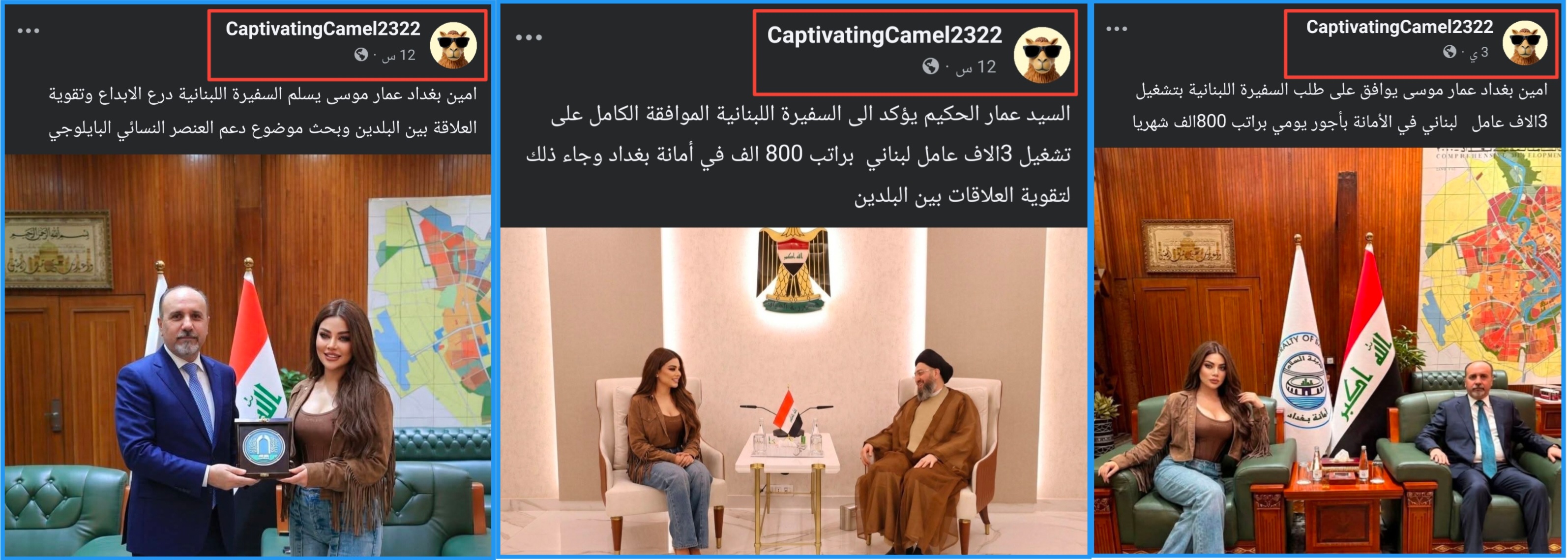 لقطة شاشة لمنشورات الحساب المجهول (فايسبوك)
