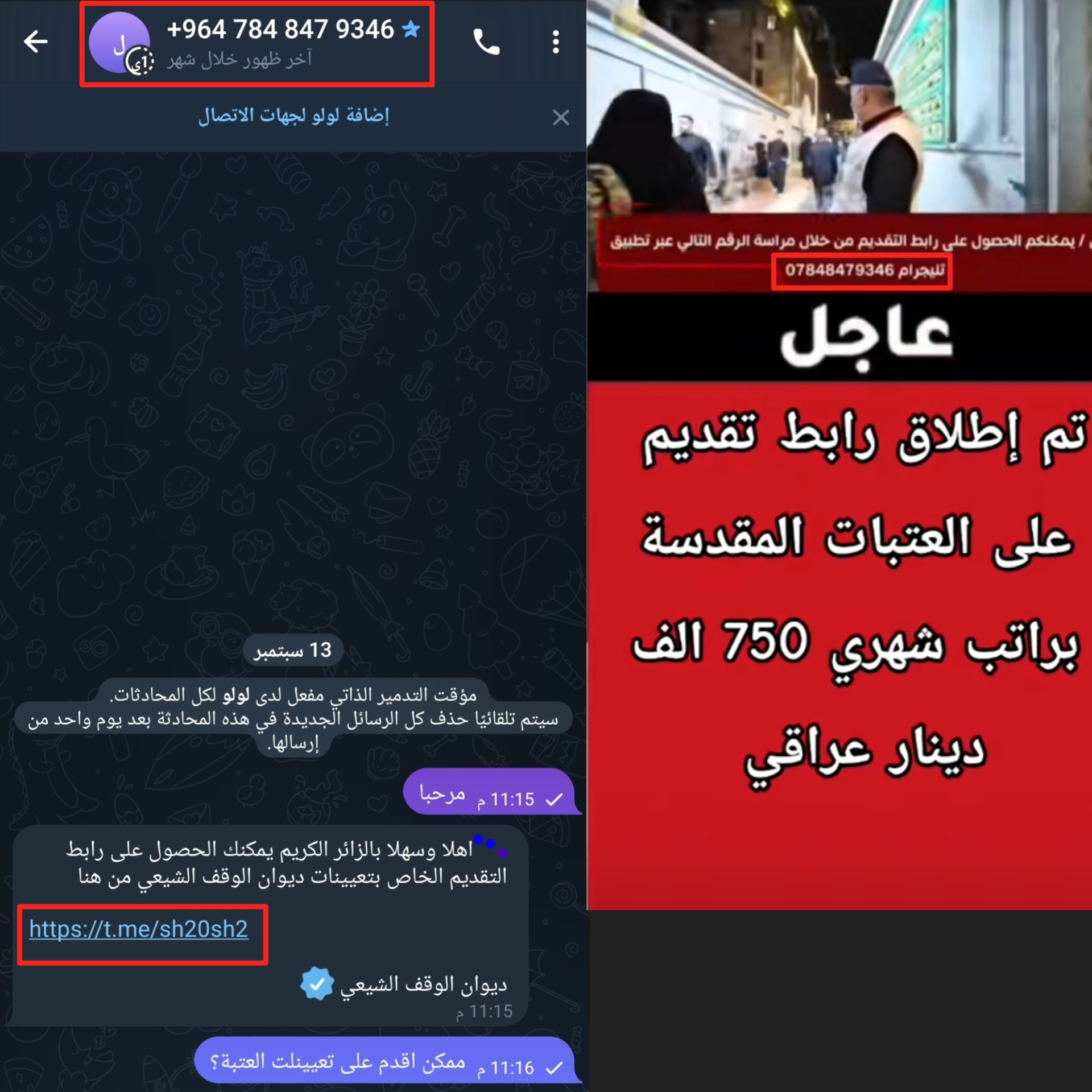 لقطة شاشة للتواصل مع الرقم الزائف (تيليغرام)