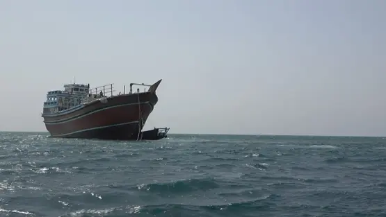 سفينة تبحر في باب المندب