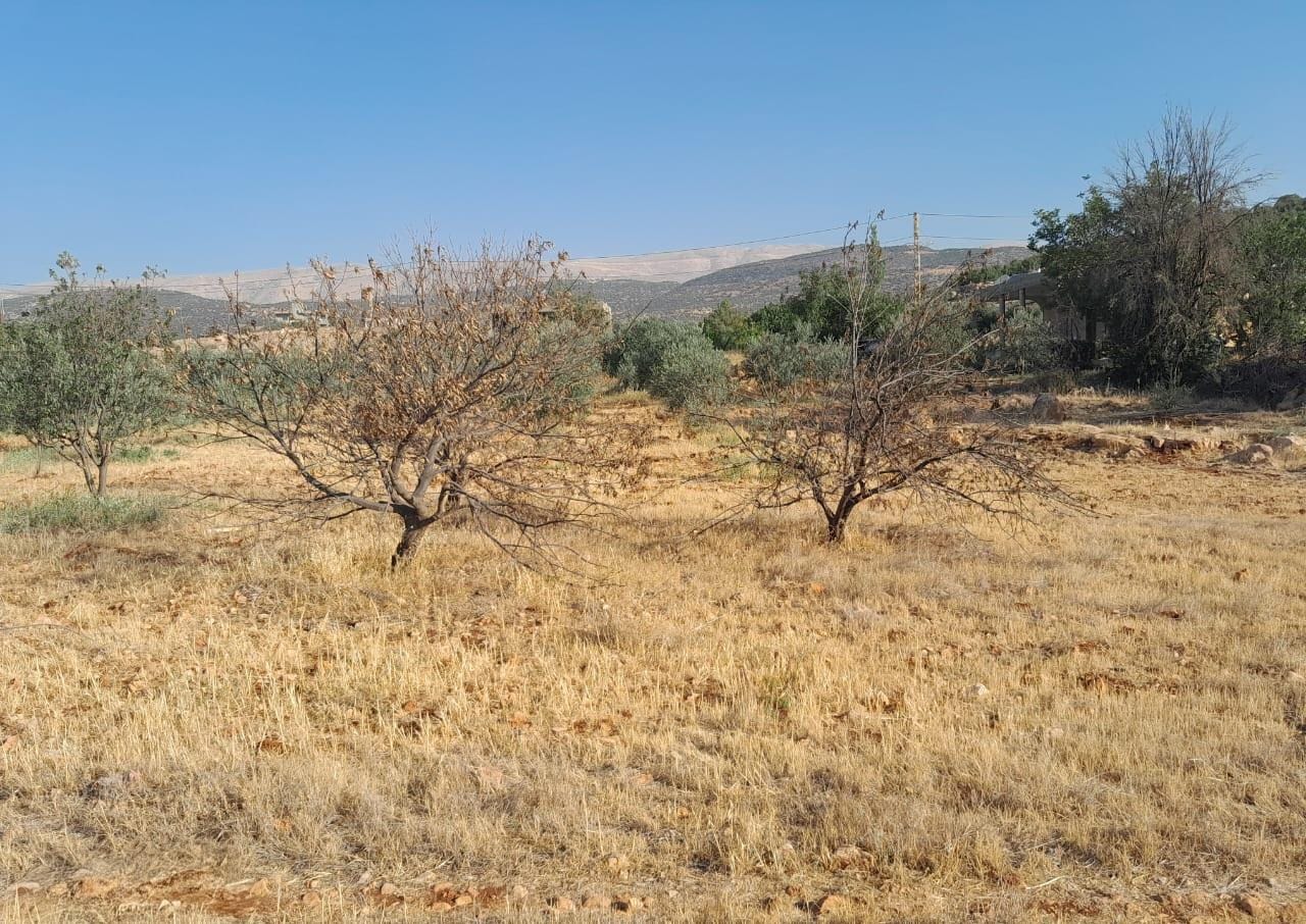 في مهب التعير المناخي.
