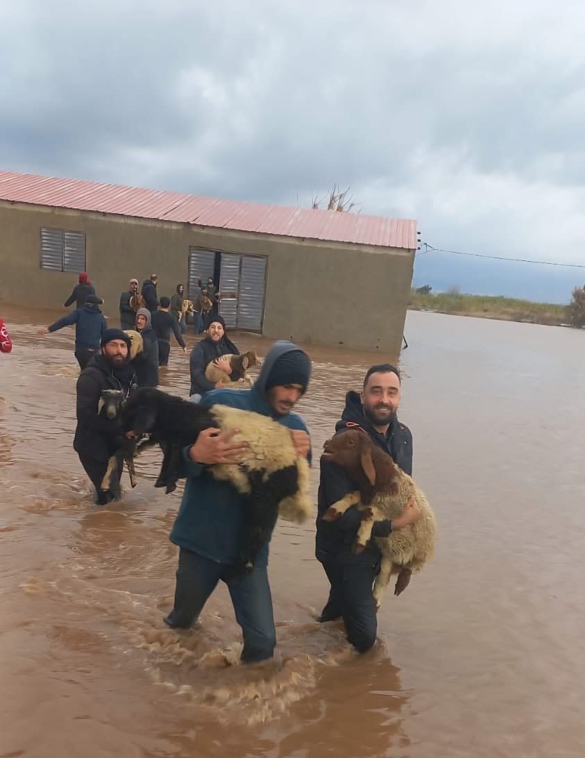 aa899e6d5b0f465dbedd9a0e859795ab_194446.