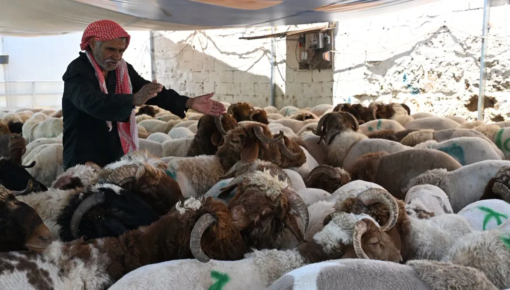 خواريف (أرشيفية).