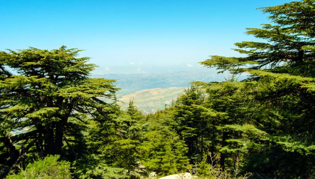 لبنان الجمال والموسيقى