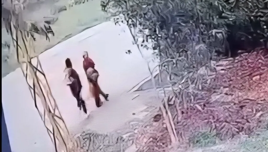 شقيقتان مفقودتان في عكار شمال لبنان... وعمليّات البحث مستمرّة (فيديو)