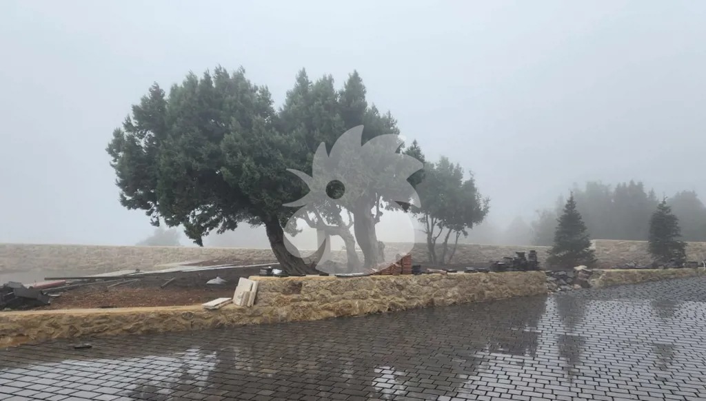 آب المجنون في لبنان... أمطار غزيرة في مناطق عدّة! (صور وفيديو)