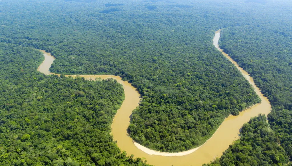 للمرة الأولى منذ ست سنوات... تباطؤ إزالة الغابات في البرازيل