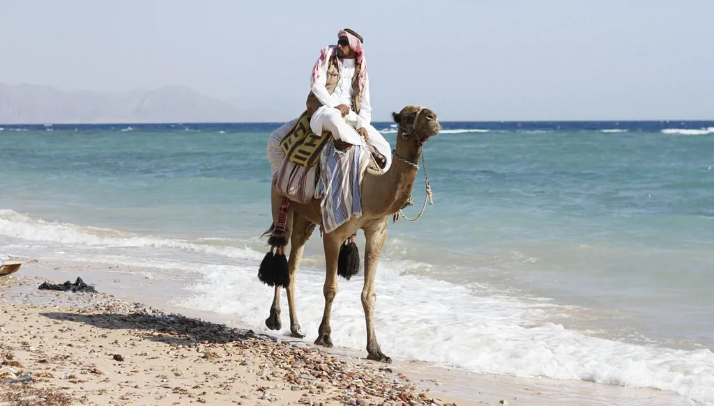 رجل أعمال يثير سجالات وغضباً بسبب تصريحات "مسيئة" لبدو مصر