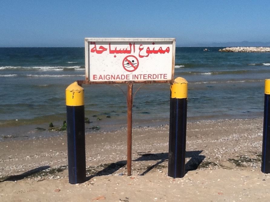 التلوّث يهدّد شواطئ الضاحية الجنوبية لتونس... أيّ حلول؟