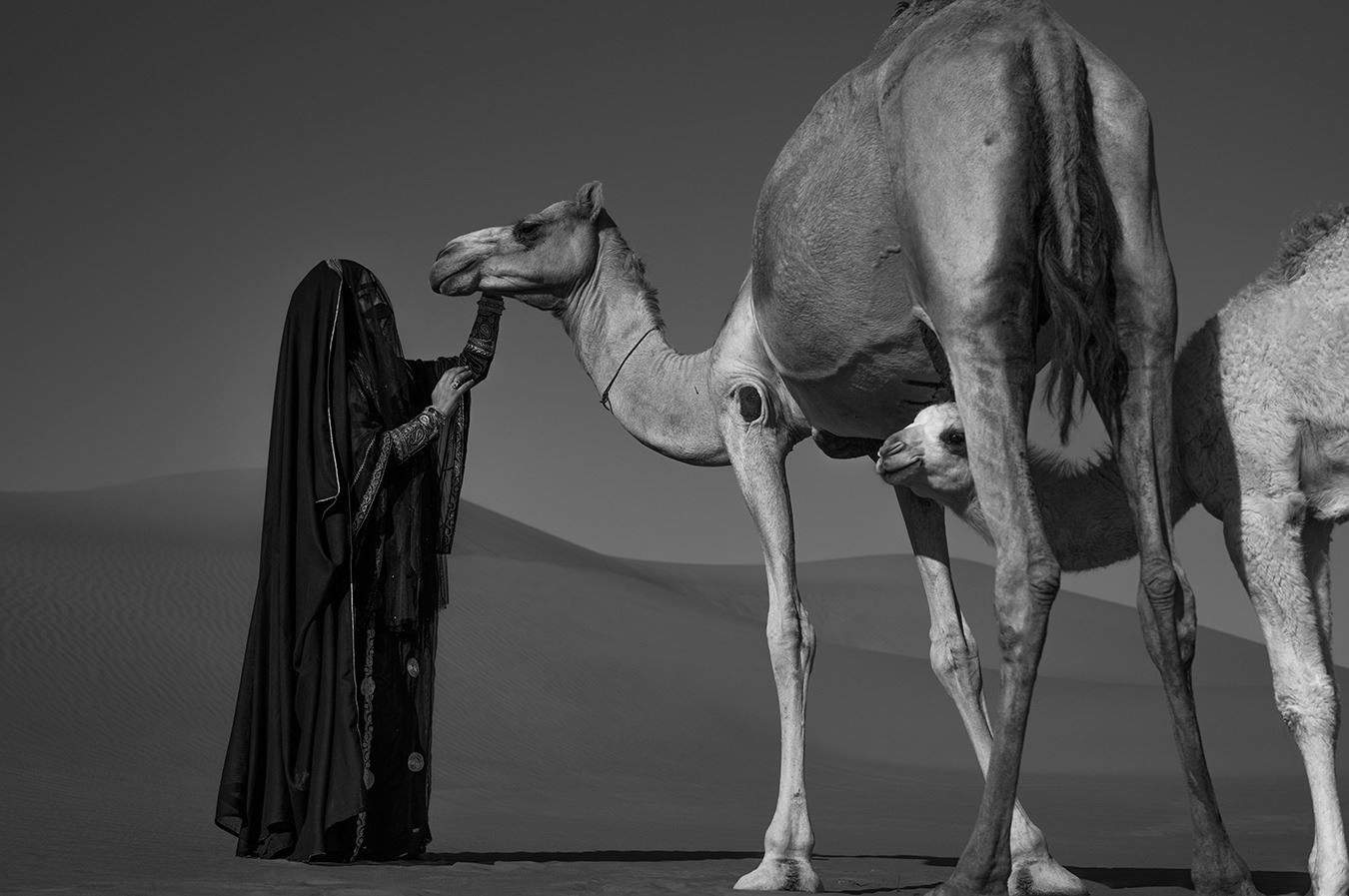 فاطمة الموسى: كيف تصنع الصّور حواراً بين الماضي والحاضر عبر الفنّ الفوتوغرافي؟
