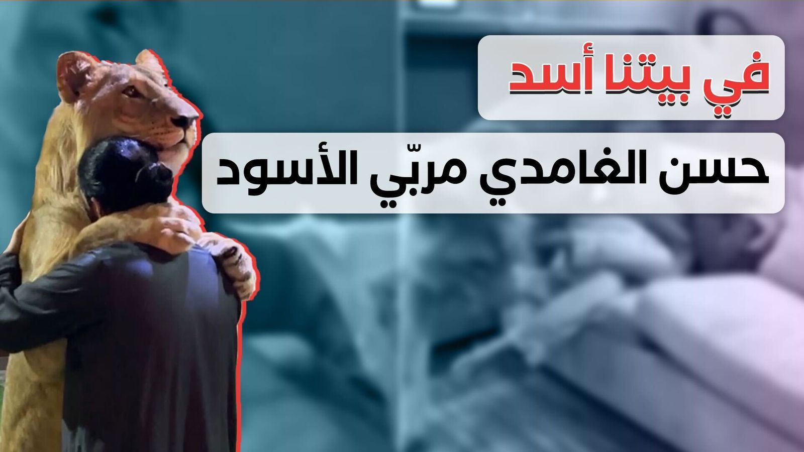 الشاب السعودي حسن الغامدي... صديق الأسود والطبيعة المفترسة