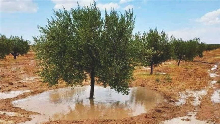 التونسيون يترقبون "غسّالة النوادر" متوجّسين من غياب دائم