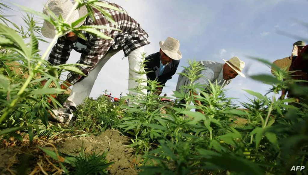 فلسفة فارغة