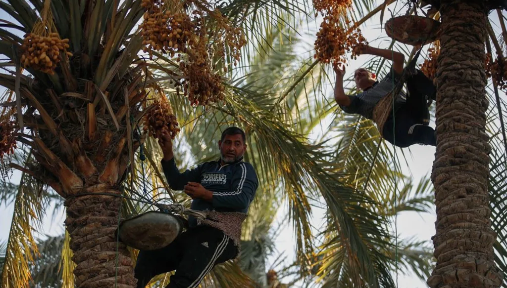 لا أحزنُ مرّتَيْن