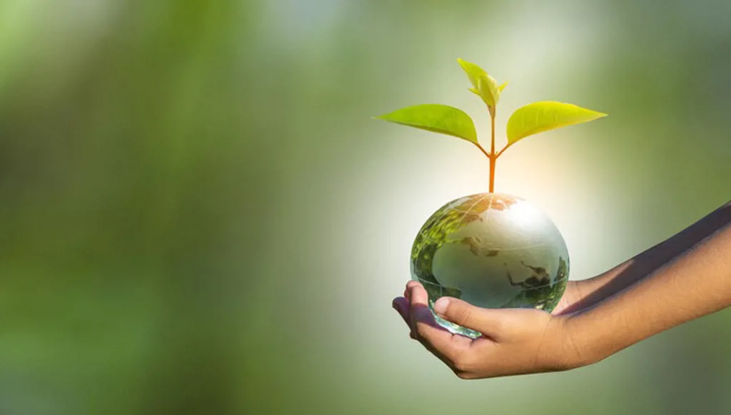 منظّمة: مقتل واختفاء نحو 150 مدافعاً عن البيئة في 2024!