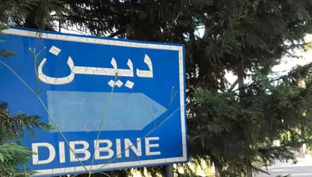 دبين على خط النار... هل تفتح إسرائيل معركة ما بعد الليطاني؟