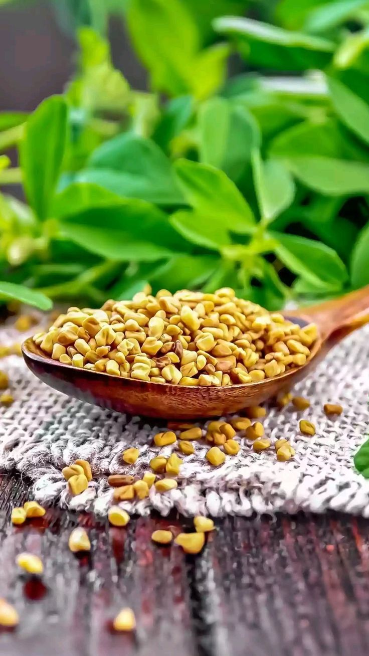 الحلبة (Pinterest)