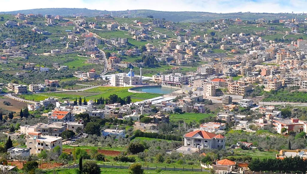 شكوى من عناصر أمنية