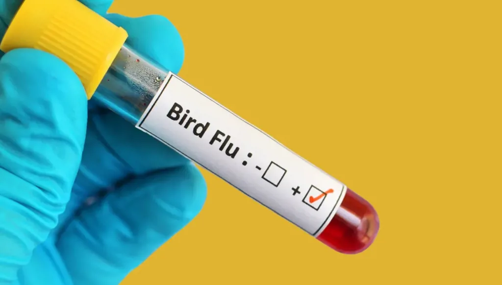 إصابات جديدة... فرنسا ترفع مستوى التحذير من إنفلونزا الطيور ‏