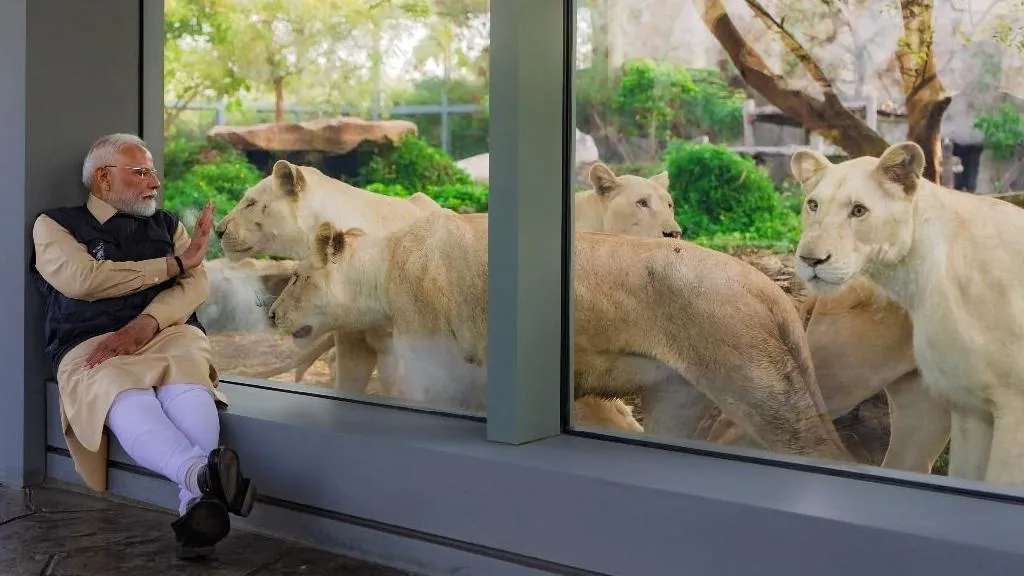 رئيس وزراء الهند ناريندرا مودي في محمية فانتارا (إكس).