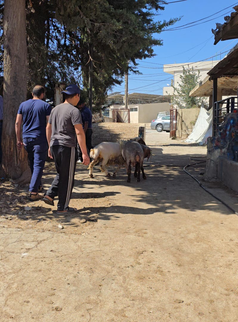 إلى المصير المختوم.