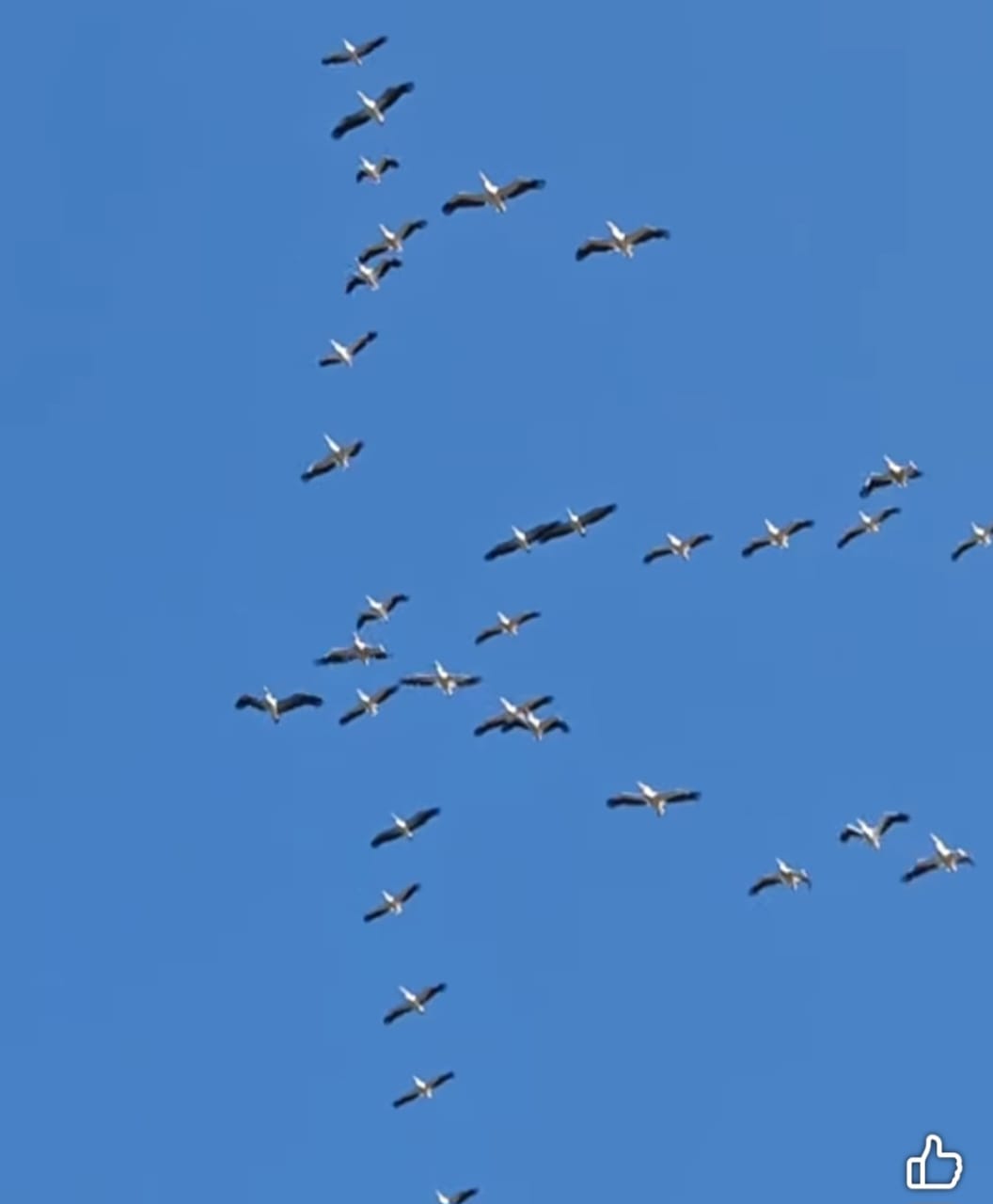 متى تضع السلطة حداً لـ