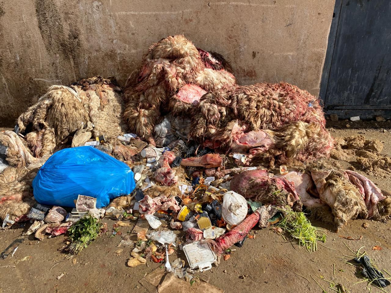 صورة وزعتها مصلحة الليطاني.