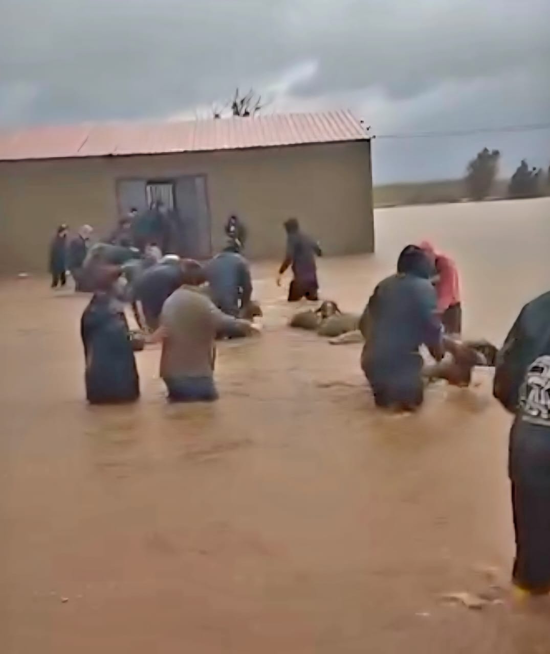 c9cc9477bdfc4f8bb32bbc26accc8db5_194418.