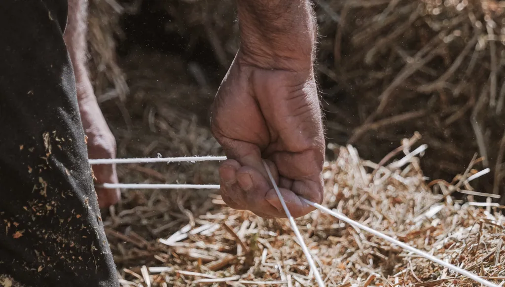 Crise agricole au Sud-Liban : guerre, sécheresse et survie menacent l’avenir du secteur