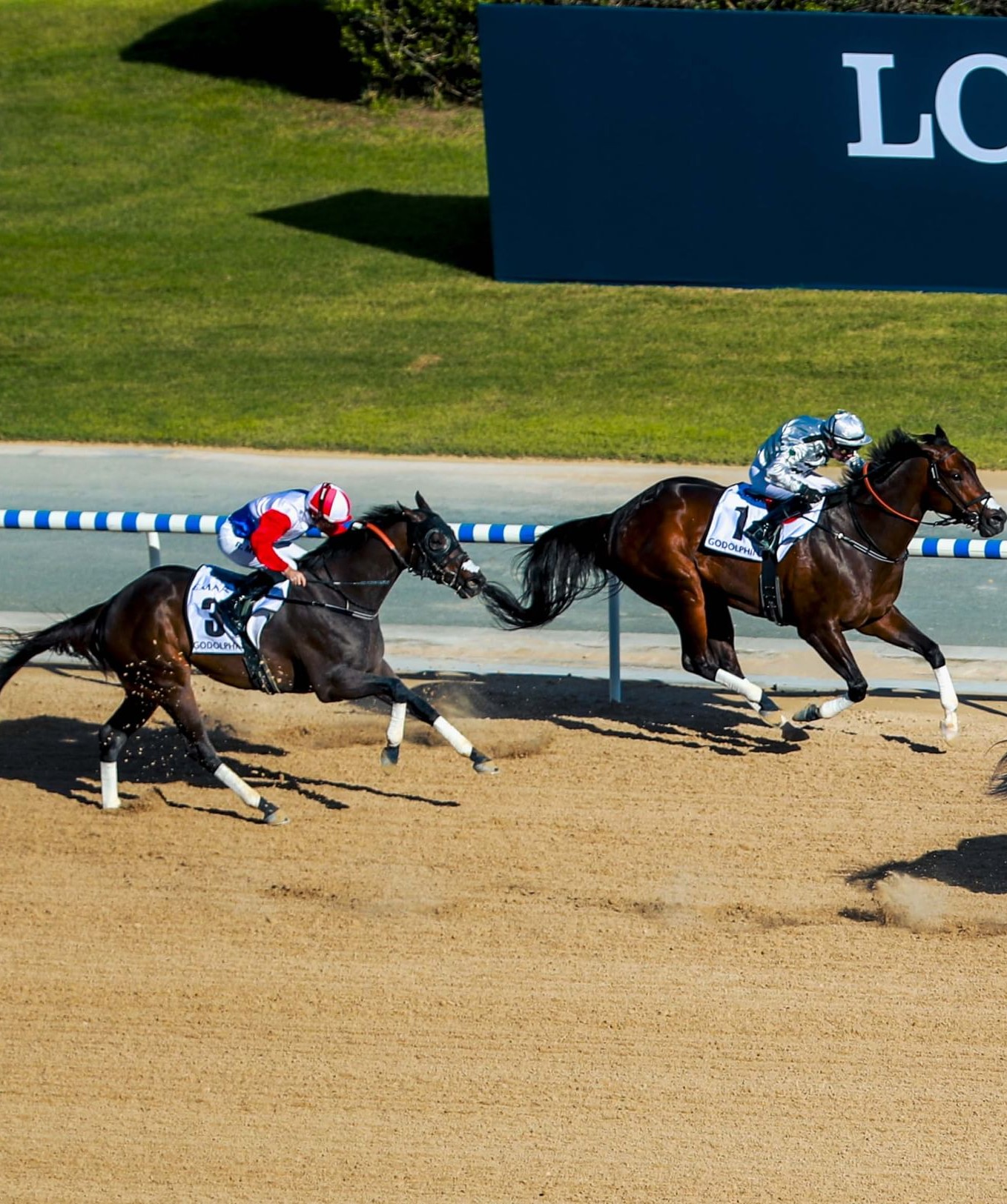 كأس دبي العالمي للخيول.